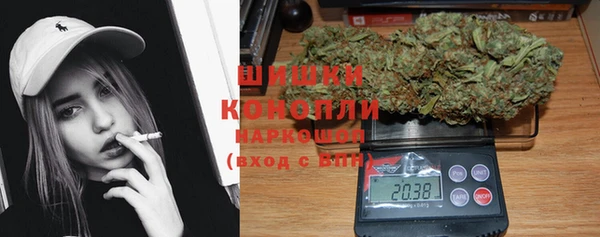 гашик Белоозёрский